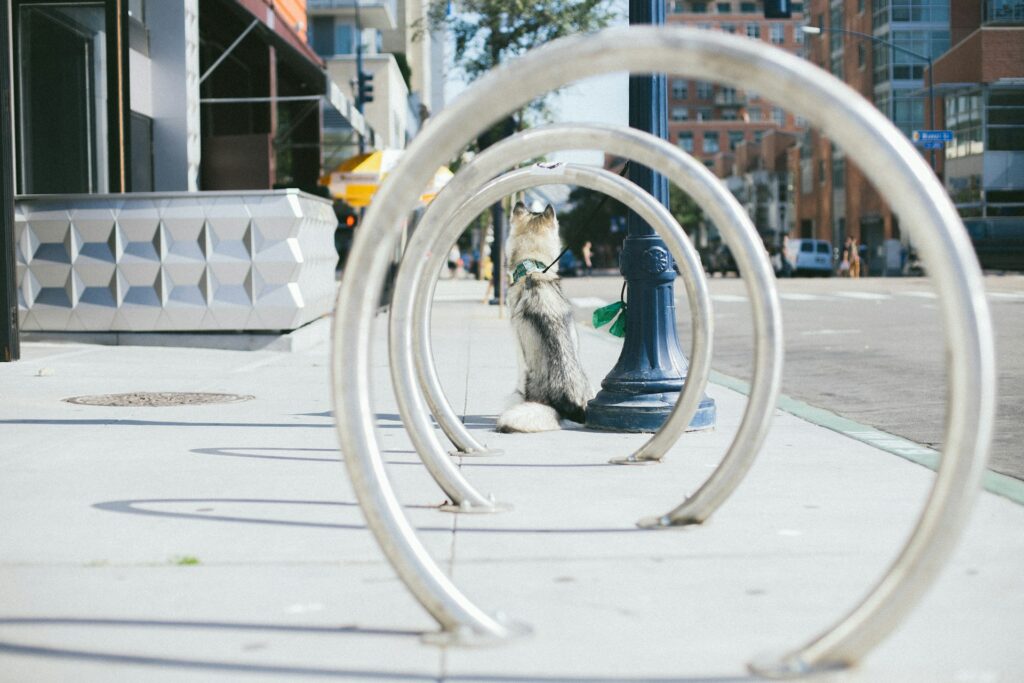 système de rangement mural efficace pour vos vélos